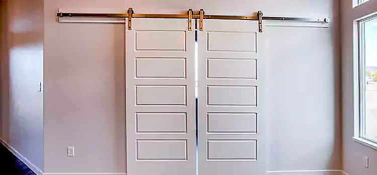 Glass Barn Door with Installation Hardware Kit Draper
